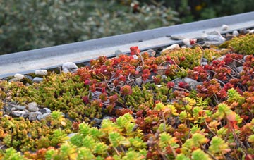 the cost of Hornestreet green roof installation