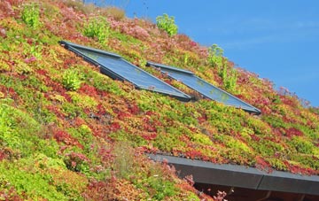 Hornestreet living roof systems